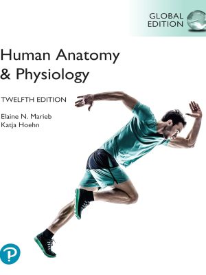 Human Anatomy & Physiology, Global Edition